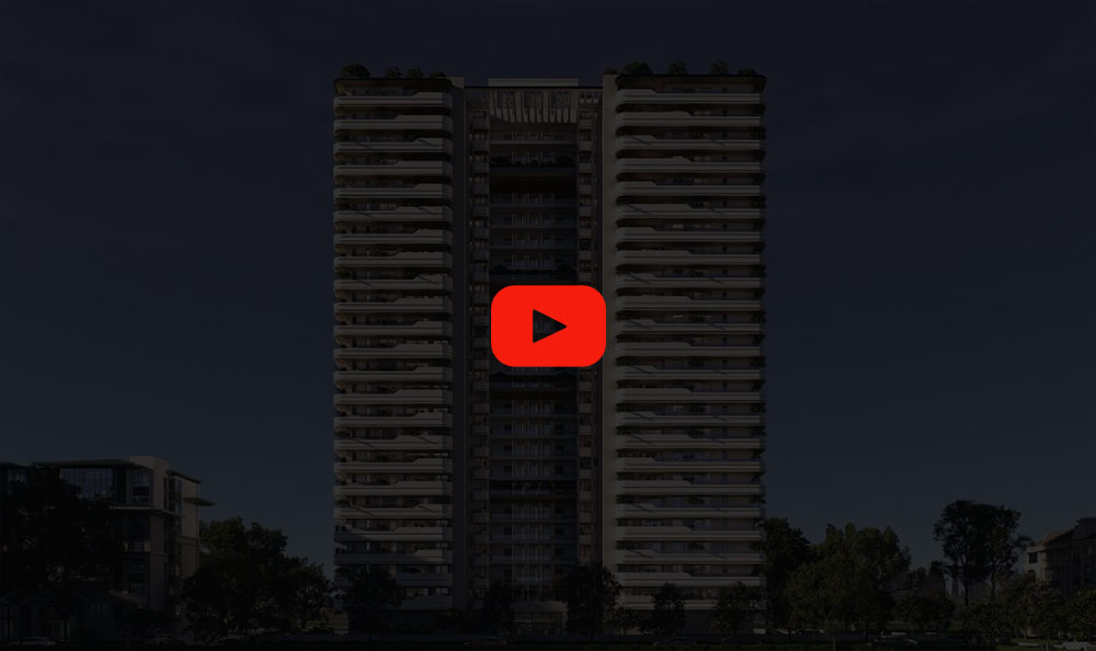 The Elite by Rohit Lucknow